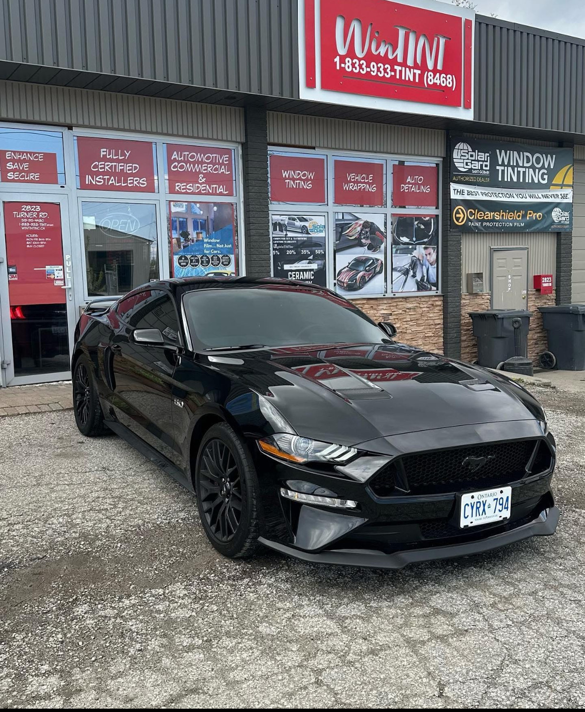 Tint Job 10