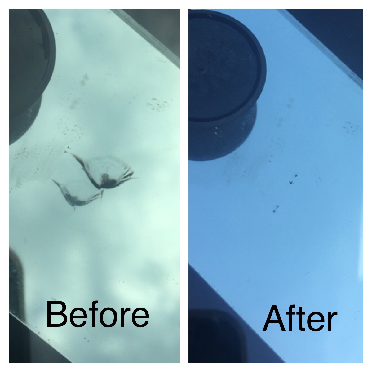 Chip Repair Job 1